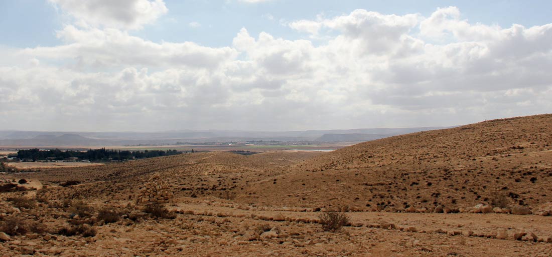 נוף ישראלי / צילום אבי אלבז